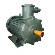 Motor động cơ phòng nổ VIHEM HEM