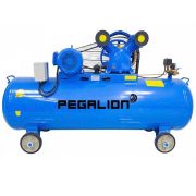 May nen khi Pegalion TM-W-0.9/8-500L (10HP)