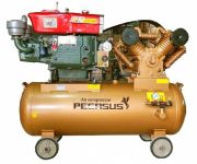 Máy nén khí diesel TM-W-1.0/8 330L (10HP)